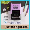 imageExcelMark 2445 Date Stamp  Perfect for Shipping Receiving Expiration and Due Dates Black Ink Pink MountBlue Ink