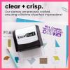 imageExcelMark Personalized Teacher Stamps for Classroom  Custom Stamps for Grading  Puns of Praise with 12 Stylish Mount Patterns Pink Mount Youre One Smart CookieBlack Mount