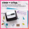 imageExcelMark Personalized Teacher Stamps for Classroom  Custom Stamps for Grading  Puns of Praise with 12 Stylish Mount Patterns Pink Mount Youre One Smart CookieBlack Mount