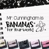 imageExcelMark Personalized Teacher Stamps for Classroom  Custom Stamps for Grading  Puns of Praise with 12 Stylish Mount Patterns Pink Mount Youre One Smart CookieBlack Mount