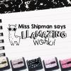 imageExcelMark Personalized Teacher Stamps for Classroom  Custom Stamps for Grading  Puns of Praise with 12 Stylish Mount Patterns Pink Mount Youre One Smart CookieBlack Mount