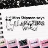 imageExcelMark Personalized Teacher Stamps for Classroom  Custom Stamps for Grading  Puns of Praise with 12 Stylish Mount Patterns Pink Mount Youre One Smart CookiePink Mount