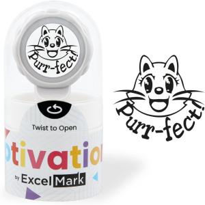imageExcelMark Funny Teacher Stamp  Choose from 5 Colors BrilliantPurrfect