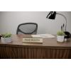 imageExcelMark Head Honcho Desk Plate  2quotx 8quotNovelty Name Plate  Gold Name Plate with Black Desk Holder