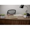 imageExcelMark I Literally Cant Even Desk Plate  2quot x 8quot Novelty Name Plate  Gold Name Plate with Black Desk Holder