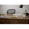 imageExcelMark Livin The Dream Desk Plate  2quotx 8quotNovelty Name Plate  Gold Name Plate with Black Desk HolderARM