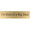 imageExcelMark Livin The Dream Desk Plate  2quotx 8quotNovelty Name Plate  Gold Name Plate with Black Desk HolderBIG DEAL