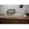 imageExcelMark Livin The Dream Desk Plate  2quotx 8quotNovelty Name Plate  Gold Name Plate with Black Desk HolderFIXER